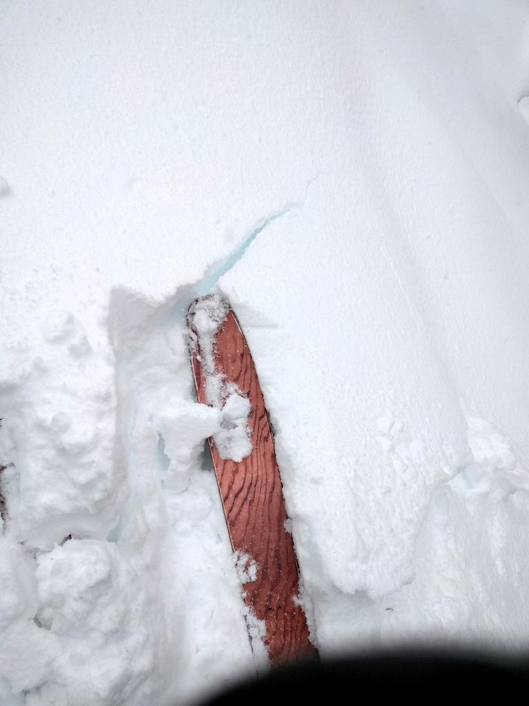  Small shooting crack in sheltered below treeline terrain at 7000 ft. as the interface between the dense heavy snow on top of the snowpack and the lighter snow below it failed. 