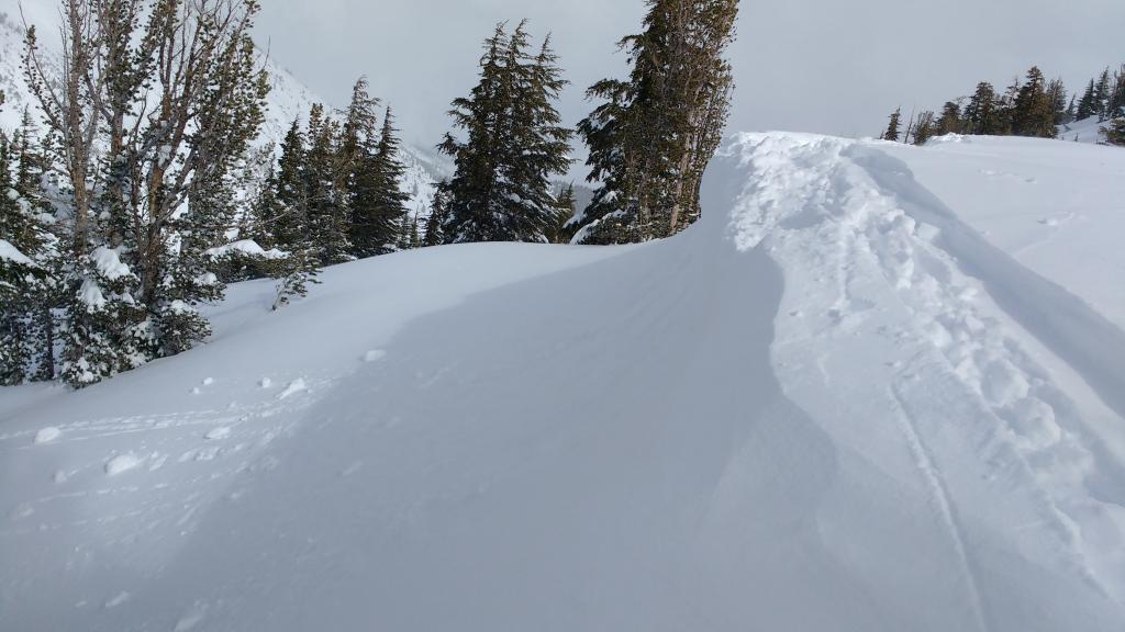  Kicking small <a href="/avalanche-terms/cornice" title="A mass of snow deposited by the wind, often overhanging, and usually near a sharp terrain break such as a ridge. Cornices can break off unexpectedly and should be approached with caution." class="lexicon-term">cornice</a> features produced only loose dry, no <a href="/avalanche-terms/slab" title="A relatively cohesive snowpack layer." class="lexicon-term">slab</a> failure. 