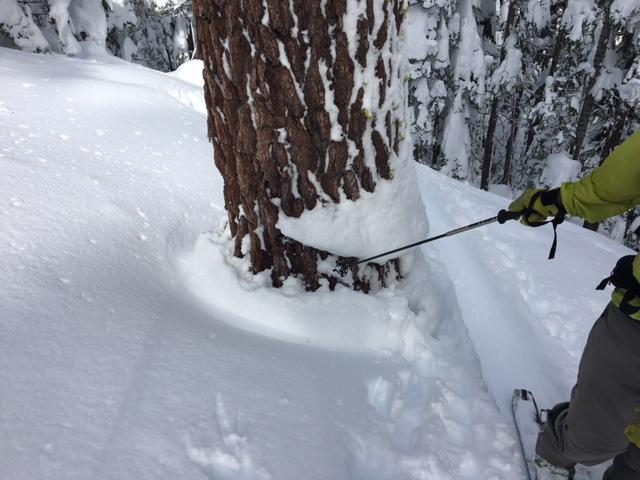  Signs of significant storm snow <a href="/avalanche-terms/settlement" title="The slow, deformation and densification of snow under the influence of gravity. Not to be confused with collasping" class="lexicon-term">settlement</a>. 