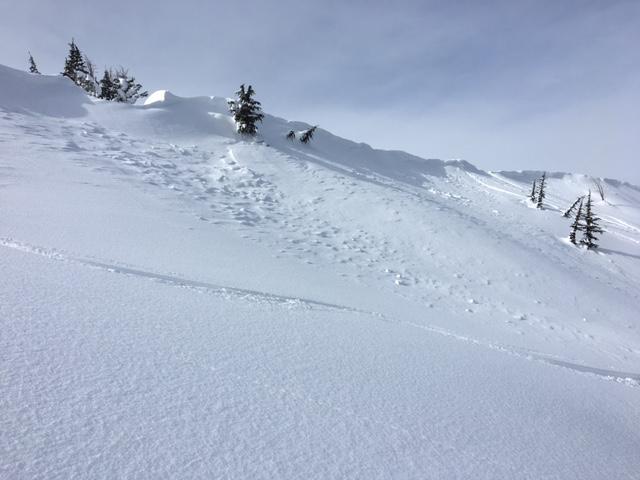  Debris from small <a href="/avalanche-terms/wind-slab" title="A cohesive layer of snow formed when wind deposits snow onto leeward terrain. Wind slabs are often smooth and rounded and sometimes sound hollow." class="lexicon-term">wind slab</a> <a href="/avalanche-terms/avalanche" title="A mass of snow sliding, tumbling, or flowing down an inclined surface." class="lexicon-term">avalanche</a> along the summit ridge. A few days old. 