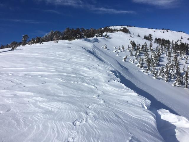  Wind effect along East Ridge of Tamarack Peak. 