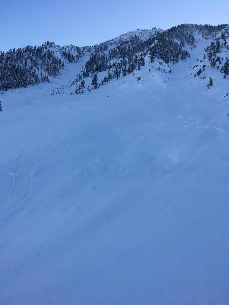  Debris field looking back up drainage skied. 