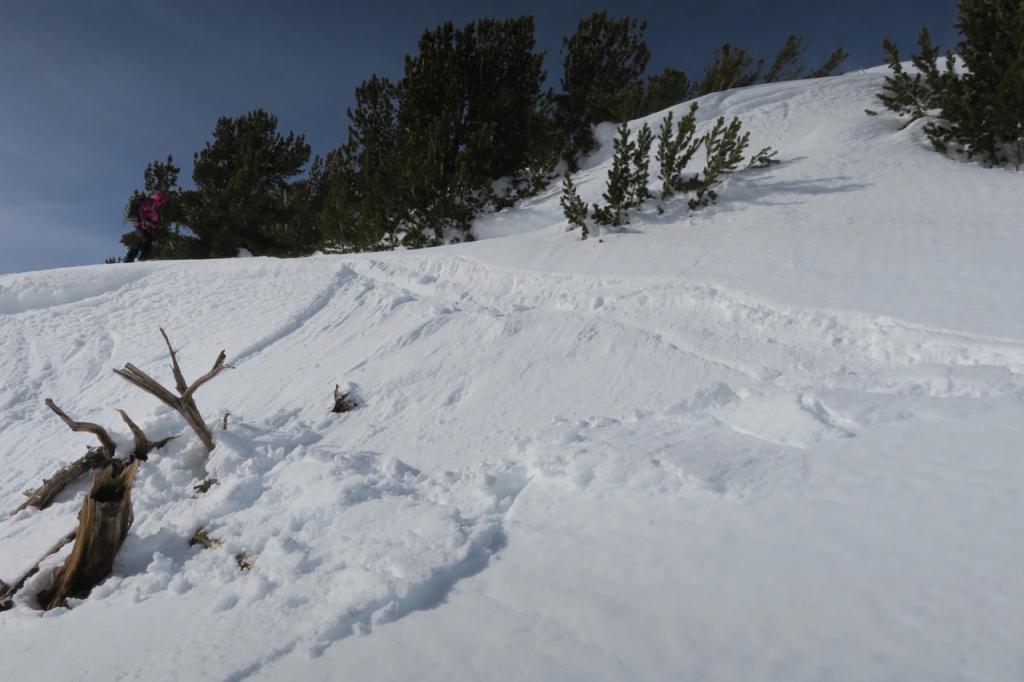  During the afternoon, sunny <a href="/avalanche-terms/aspect" title="The compass direction a slope faces (i.e. North, South, East, or West.)" class="lexicon-term">aspects</a> around 10,000 feet steep rolls consistently produced wet <a href="/avalanche-terms/avalanche" title="A mass of snow sliding, tumbling, or flowing down an inclined surface." class="lexicon-term">slides</a> in response to ski turns. 