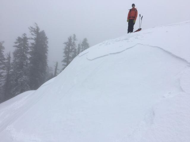 Storm <a href="/avalanche-terms/slab" title="A relatively cohesive snowpack layer." class="lexicon-term">Slab</a>.  4&#039;&#039; deep, 7900&#039;, NE <a href="/avalanche-terms/aspect" title="The compass direction a slope faces (i.e. North, South, East, or West.)" class="lexicon-term">aspect</a>. 
