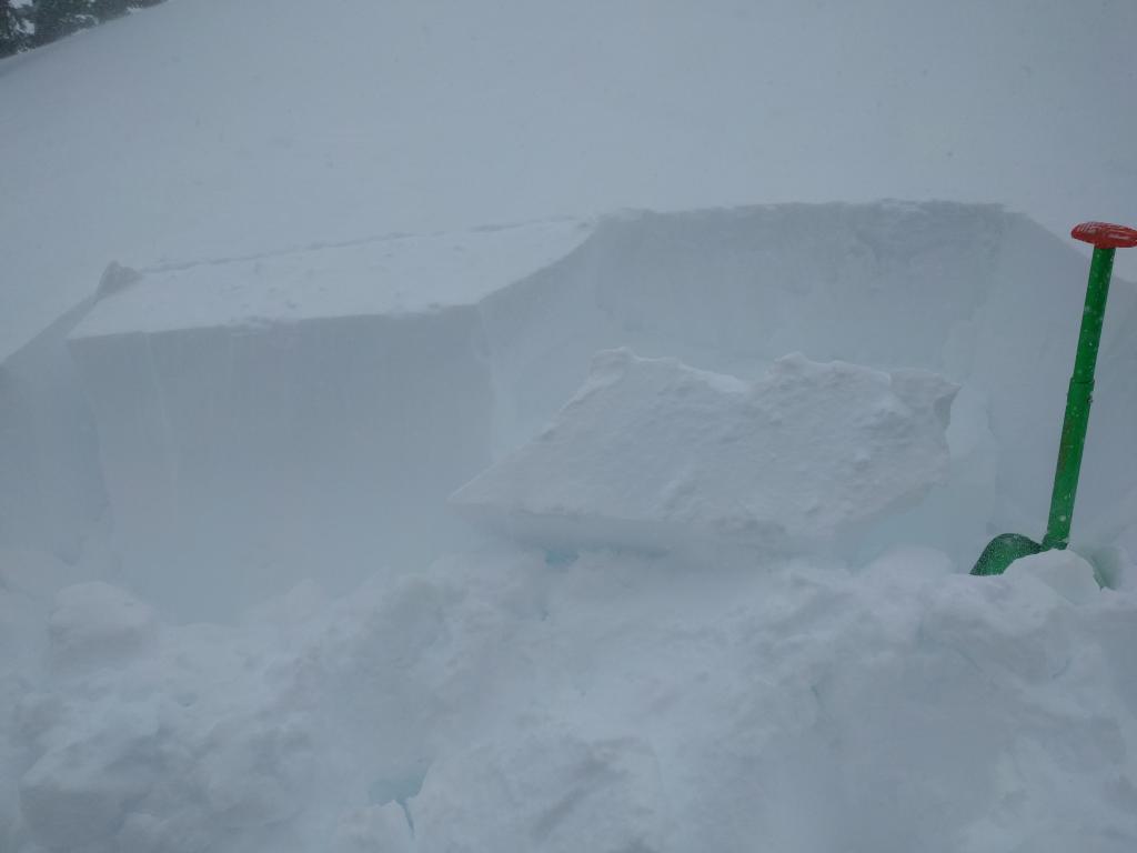  2m long ECTN 16 on the same <a href="/avalanche-terms/snow-layer" title="A snowpack stratum differentiated from others by weather, metamorphism, or other processes." class="lexicon-term">layer</a> as the ECTP 