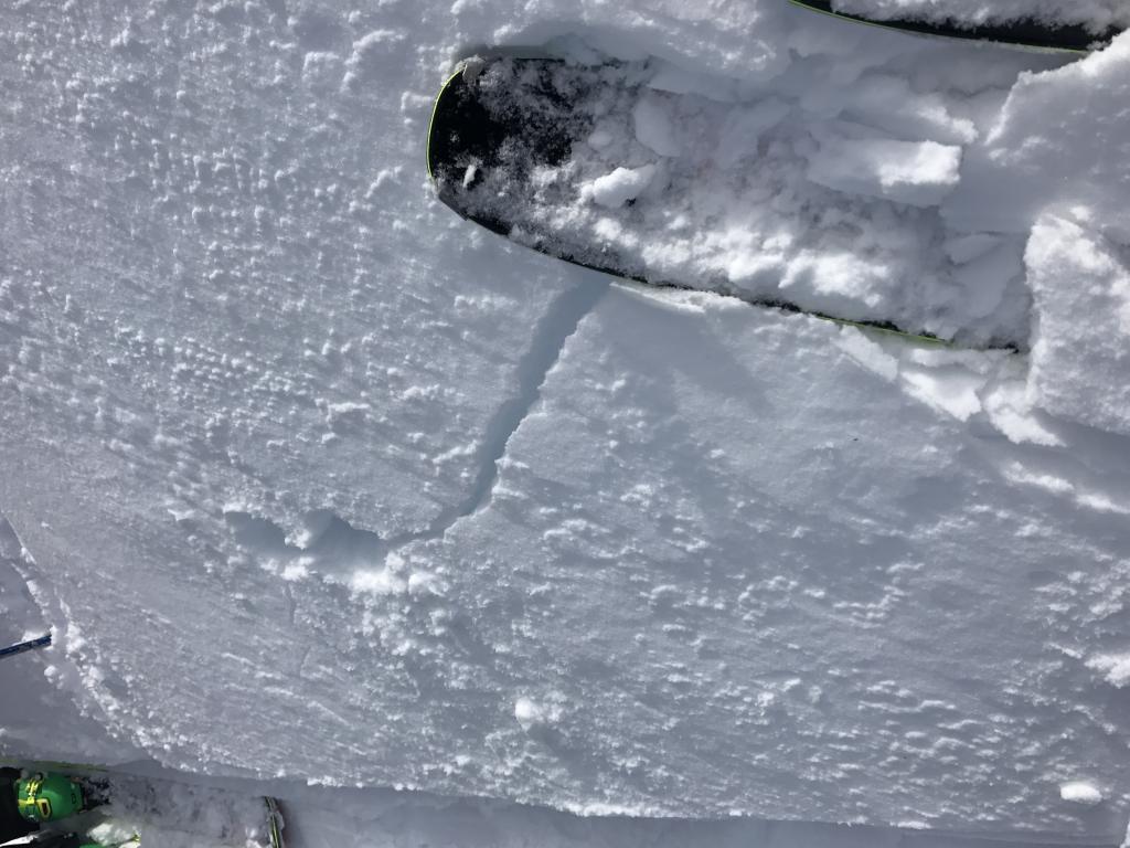 Small crack in <a href="/avalanche-terms/skin-track" title="Backcountry skiers and some snowboarders ascend slopes using climbing skins attached to the bottom of their skis." class="lexicon-term">skin track</a> 