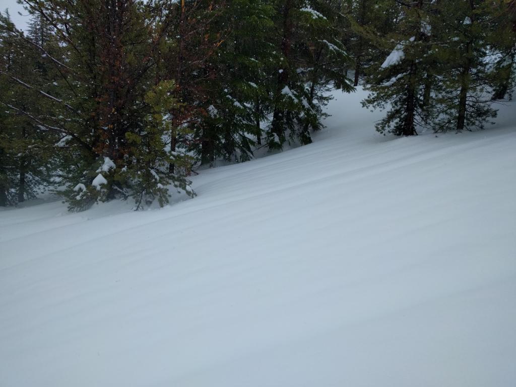  Rain runnels at 8900 ft. on a N <a href="/avalanche-terms/aspect" title="The compass direction a slope faces (i.e. North, South, East, or West.)" class="lexicon-term">aspect</a> on Tamarack Peak. 