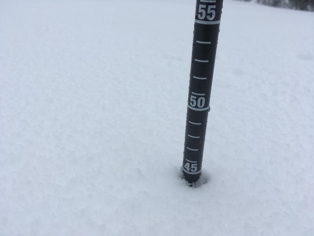  Approximate height of storm snow at 8000 feet on Luther Pass. 