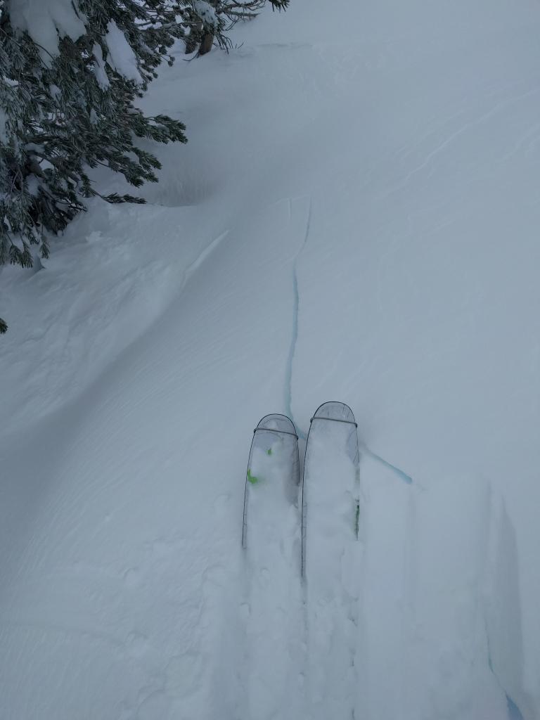  Shooting cracks on a wind-<a href="/avalanche-terms/loading" title="The addition of weight on top of a snowpack, usually from precipitation, wind drifting, or a person." class="lexicon-term">loaded</a> SW <a href="/avalanche-terms/aspect" title="The compass direction a slope faces (i.e. North, South, East, or West.)" class="lexicon-term">aspect</a>. Larger shooting cracks occurred but the wind filled them in too quickly for photos. 