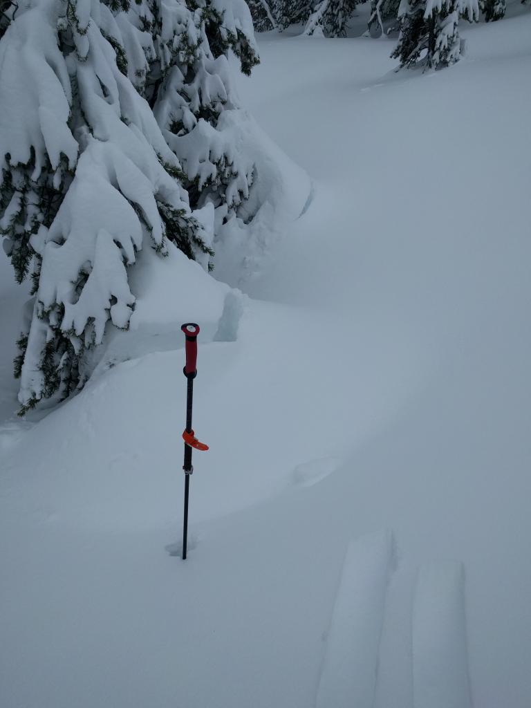  <a href="/avalanche-terms/settlement" title="The slow, deformation and densification of snow under the influence of gravity. Not to be confused with collasping" class="lexicon-term">Settlement</a> cracks around trees in sheltered below treeline terrain. 