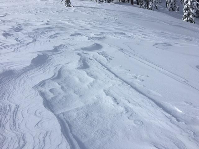  Near treeline terrain at 7900&#039;.  Extensive <a href="/avalanche-terms/wind-loading" title="The added weight of wind drifted snow." class="lexicon-term">wind loading</a> and transport. 