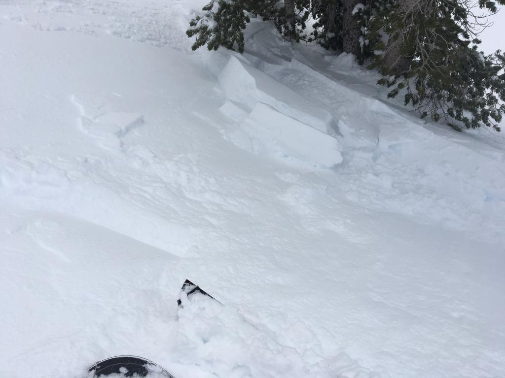  Debris from <a href="/avalanche-terms/wind-loading" title="The added weight of wind drifted snow." class="lexicon-term">wind loaded</a> test slope that failed 