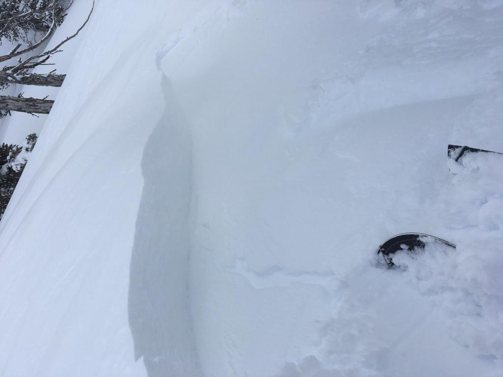  40 cm <a href="/avalanche-terms/crown-face" title="The top fracture surface of a slab avalanche. Usually smooth, clean cut, and angled 90 degrees to the bed surface." class="lexicon-term">crown</a> from <a href="/avalanche-terms/wind-loading" title="The added weight of wind drifted snow." class="lexicon-term">wind loaded</a> test slope 