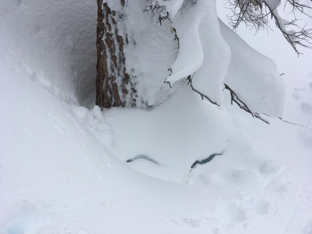  <a href="/avalanche-terms/settlement" title="The slow, deformation and densification of snow under the influence of gravity. Not to be confused with collasping" class="lexicon-term">Settlement</a> cones were visible around many trees. 