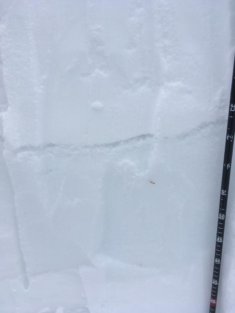  Roughly 70 cms of new snow was present at 9000 on Powderhouse sitting on top of a firm but still wet <a href="/avalanche-terms/snow-layer" title="A snowpack stratum differentiated from others by weather, metamorphism, or other processes." class="lexicon-term">layer</a>. 