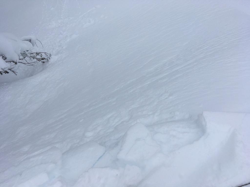  Broken chunks of <a href="/avalanche-terms/cornice" title="A mass of snow deposited by the wind, often overhanging, and usually near a sharp terrain break such as a ridge. Cornices can break off unexpectedly and should be approached with caution." class="lexicon-term">cornice</a> did not <a href="/avalanche-terms/trigger" title="A disturbance that initiates fracture within the weak layer causing an avalanche. In 90 percent of avalanche accidents, the victim or someone in the victims party triggers the avalanche." class="lexicon-term">trigger</a> the slopes below. 