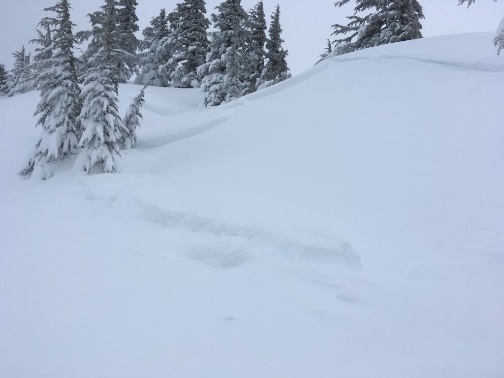  Looking up towards the <a href="/avalanche-terms/crown-face" title="The top fracture surface of a slab avalanche. Usually smooth, clean cut, and angled 90 degrees to the bed surface." class="lexicon-term">crown</a>. 