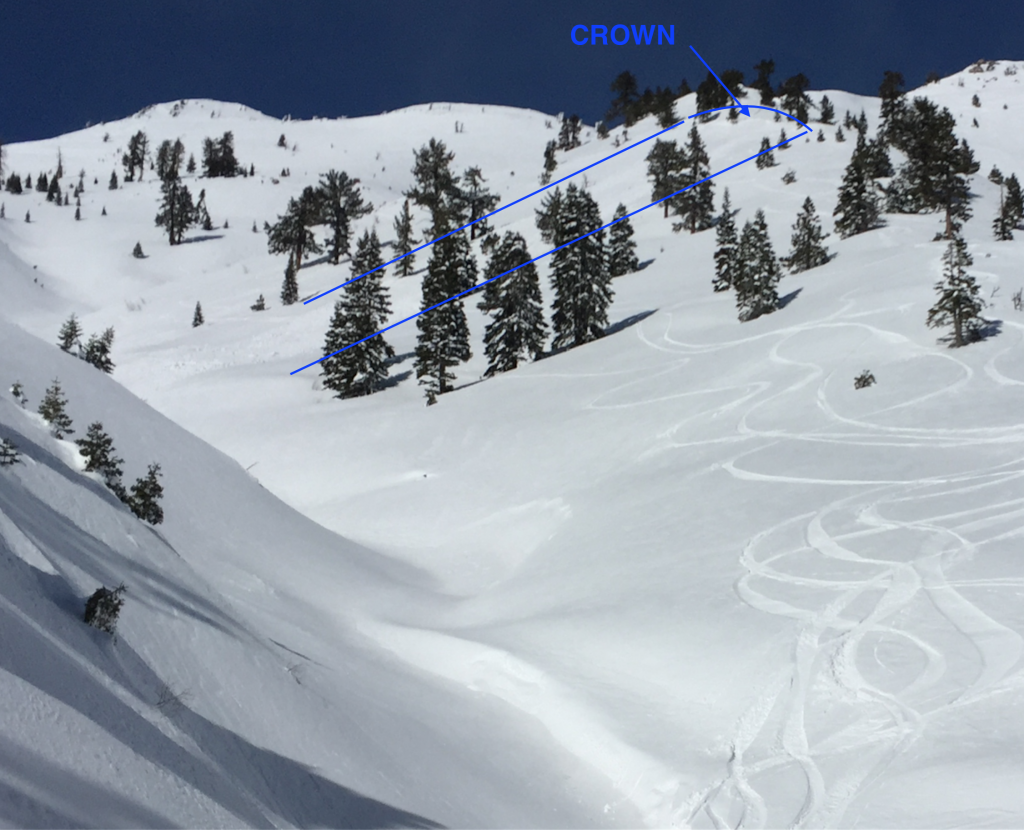  Aftermath of <a href="/avalanche-terms/avalanche" title="A mass of snow sliding, tumbling, or flowing down an inclined surface." class="lexicon-term">Avalanche</a> near Rose Knob Peak. 