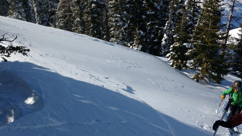  Wind scouring near ridgetop in NE <a href="/avalanche-terms/aspect" title="The compass direction a slope faces (i.e. North, South, East, or West.)" class="lexicon-term">aspect</a>. 