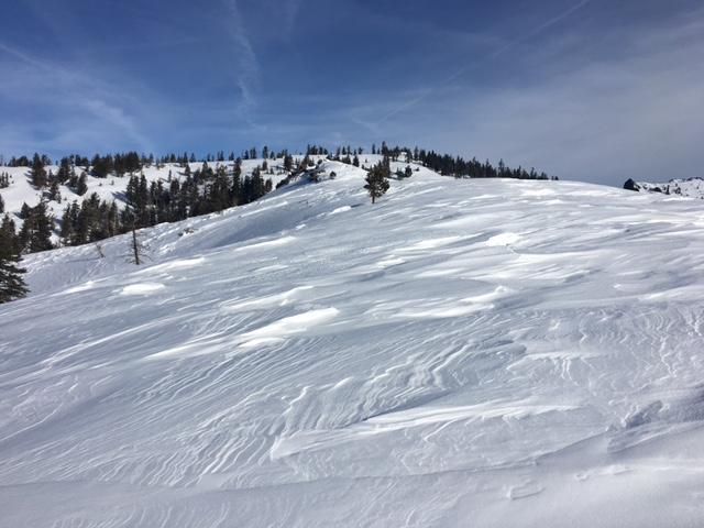  Wind scoured snow surface along ridge between Bard&#039;s Bowl and Poison Point. 