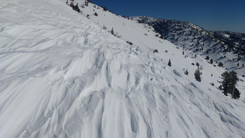  Wind-sculpted surfaces on exposed slopes at 9400 ft. 