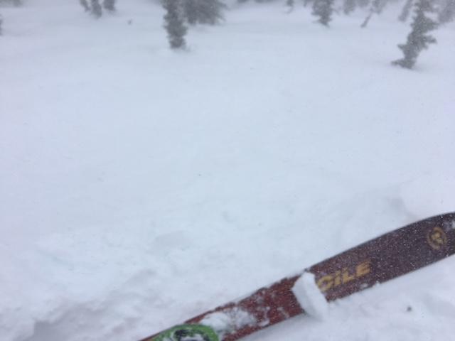  Small test slopes did not show any signs of cracking or <a href="/avalanche-terms/propagation" title="The spreading of a fracture or crack within the snowpack." class="lexicon-term">propagation</a>. 