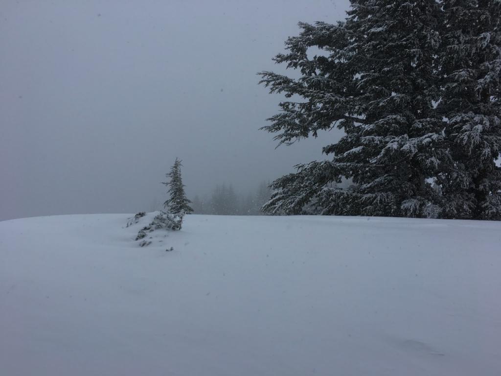  Strong ridgetop winds were blowing snow onto the lee slopes below. 