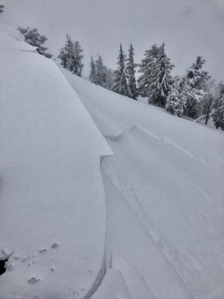  <a href="/avalanche-terms/cornice" title="A mass of snow deposited by the wind, often overhanging, and usually near a sharp terrain break such as a ridge. Cornices can break off unexpectedly and should be approached with caution." class="lexicon-term">Cornice</a> drop and resulting <a href="/avalanche-terms/wind-slab" title="A cohesive layer of snow formed when wind deposits snow onto leeward terrain. Wind slabs are often smooth and rounded and sometimes sound hollow." class="lexicon-term">wind slab</a> <a href="/avalanche-terms/avalanche" title="A mass of snow sliding, tumbling, or flowing down an inclined surface." class="lexicon-term">avalanche</a> 