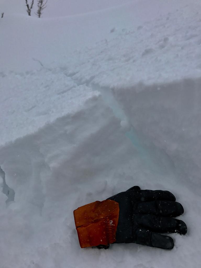  Example of shooting crack and <a href="/avalanche-terms/crown-face" title="The top fracture surface of a slab avalanche. Usually smooth, clean cut, and angled 90 degrees to the bed surface." class="lexicon-term">crown</a> near flank 