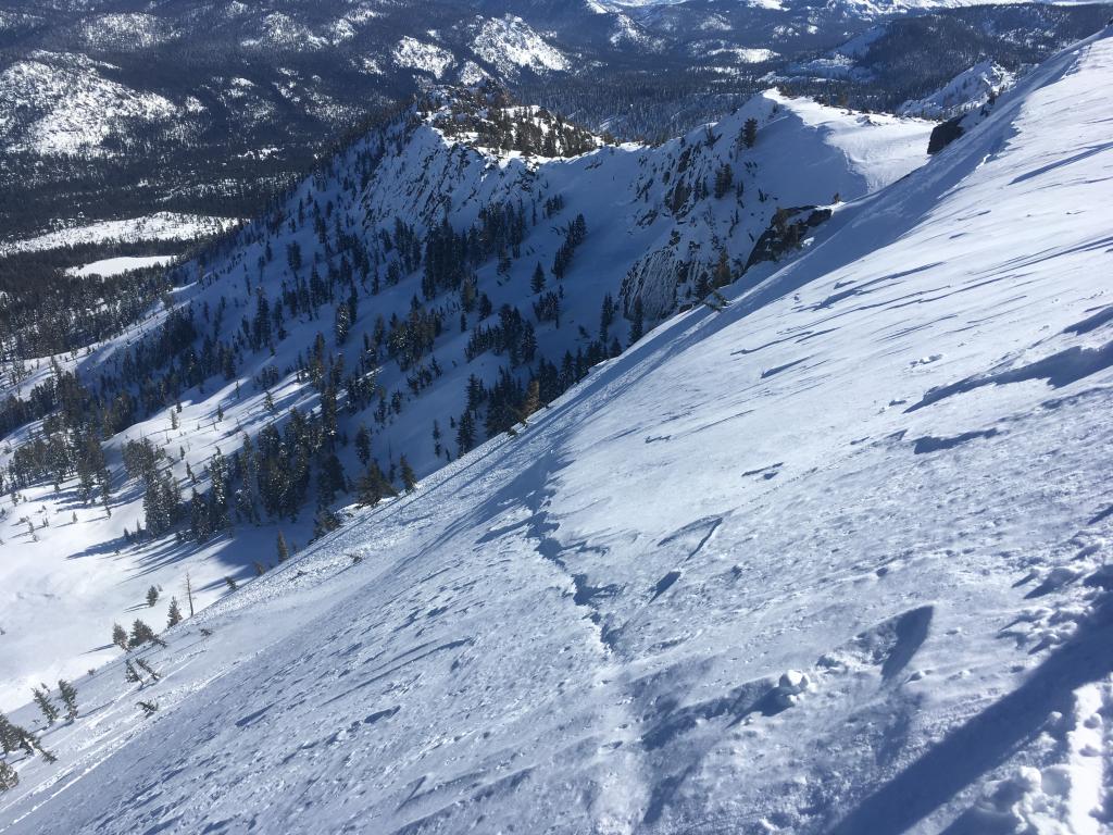  Old <a href="/avalanche-terms/crown-face" title="The top fracture surface of a slab avalanche. Usually smooth, clean cut, and angled 90 degrees to the bed surface." class="lexicon-term">crown</a> line lookers right of Echo Peak, above bowl 