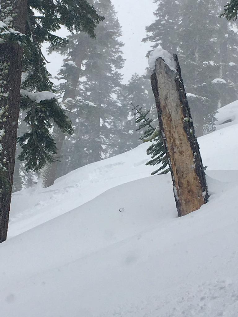  Slope where <a href="/avalanche-terms/snowpit" title="A pit dug vertically into the snowpack where snow layering is observed and stability tests may be performed. Also called a snow profile." class="lexicon-term">snowpit</a> was dug (past dead tree in pic) 