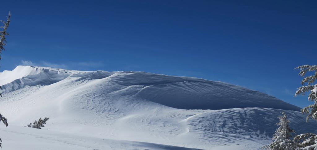  Above treeline on an exposed ridge large windrifts were common. 