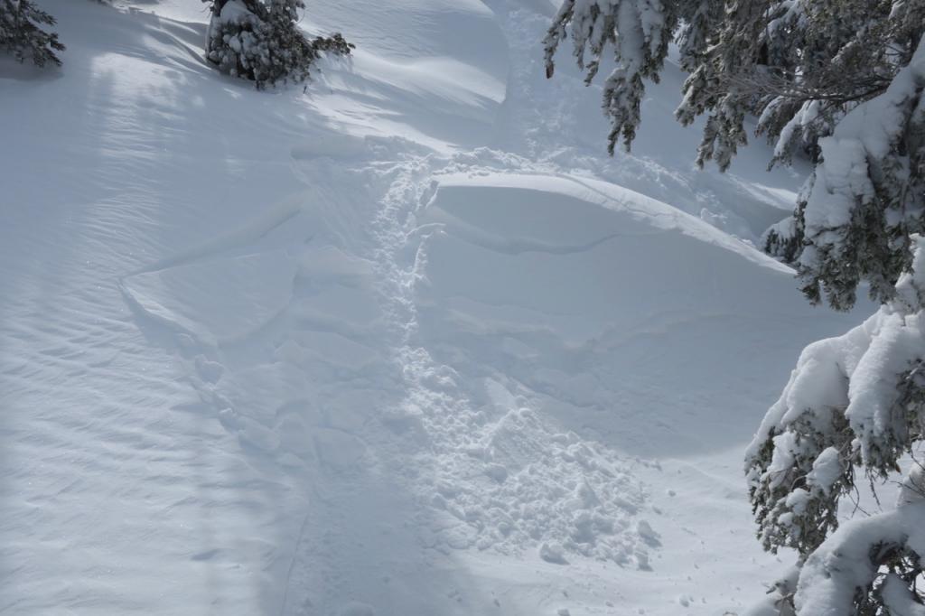  In the trees on the edge of a ridge a small slope released a <a href="/avalanche-terms/wind-slab" title="A cohesive layer of snow formed when wind deposits snow onto leeward terrain. Wind slabs are often smooth and rounded and sometimes sound hollow." class="lexicon-term">wind slab</a>. 