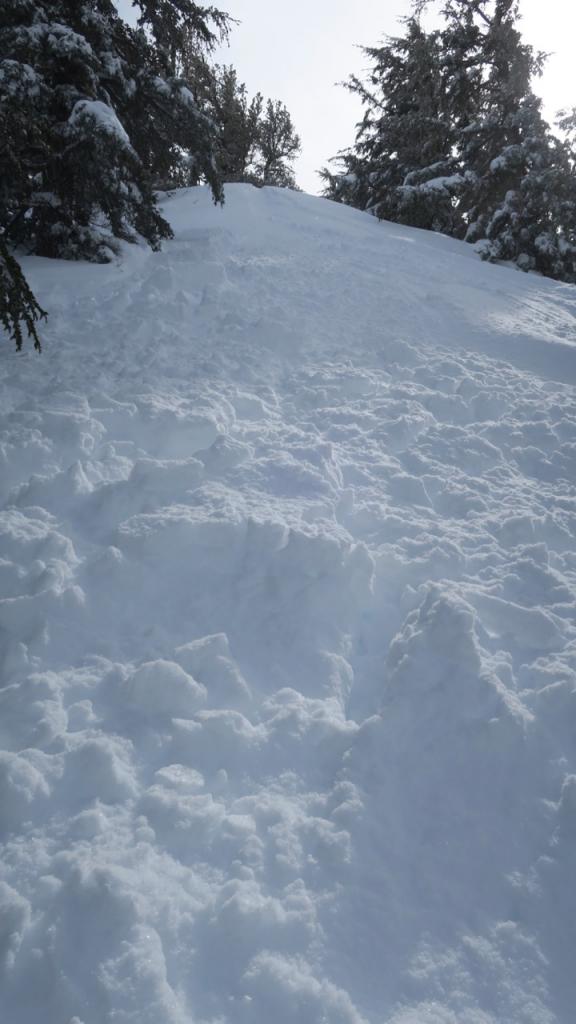  This below treeline (but near an open ridge) slope produced a <a href="/avalanche-terms/wind-slab" title="A cohesive layer of snow formed when wind deposits snow onto leeward terrain. Wind slabs are often smooth and rounded and sometimes sound hollow." class="lexicon-term">wind slab</a> that ran approximately 50 feet. 