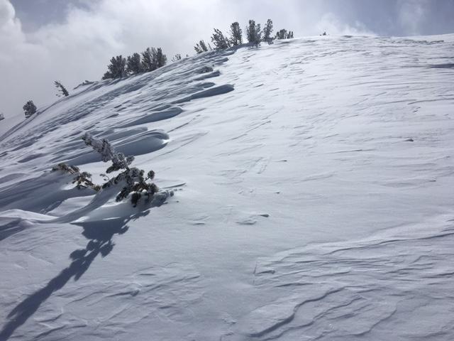 NW winds scouring ridgelines and <a href="/avalanche-terms/loading" title="The addition of weight on top of a snowpack, usually from precipitation, wind drifting, or a person." class="lexicon-term">loading</a> E <a href="/avalanche-terms/aspect" title="The compass direction a slope faces (i.e. North, South, East, or West.)" class="lexicon-term">aspects</a> in this area. 