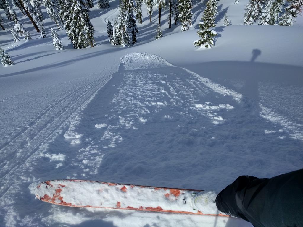  <a href="/avalanche-terms/ski-cut" title="A stability test where a skier, rider or snowmobiler rapidly crosses an avalanche starting zone to see if an avalanche initiates. Slope cuts can be dangerous and should only be performed by experienced people on small avalanche paths or test slopes." class="lexicon-term">Ski cut</a> <a href="/avalanche-terms/trigger" title="A disturbance that initiates fracture within the weak layer causing an avalanche. In 90 percent of avalanche accidents, the victim or someone in the victims party triggers the avalanche." class="lexicon-term">triggered</a> loose dry <a href="/avalanche-terms/loose-snow-avalanche" title="An avalanche that releases from a point and spreads downhill collecting more snow - different from a slab avalanche. Also called a point-release or sluff." class="lexicon-term">sluff</a> on a N <a href="/avalanche-terms/aspect" title="The compass direction a slope faces (i.e. North, South, East, or West.)" class="lexicon-term">aspect</a> at ~7500 ft. 