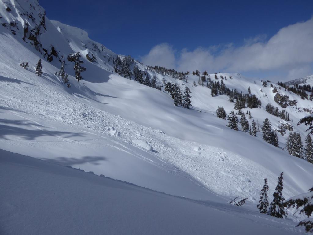  <a href="/avalanche-terms/avalanche-path" title="A terrain feature where an avalanche occurs. Composed of a Starting Zone, Track, and Runout Zone." class="lexicon-term">Avalanche path</a>.  I had noticed tracks in this area on my hike up. 