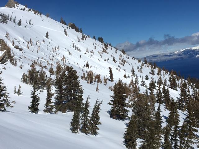  <a href="/avalanche-terms/skin-track" title="Backcountry skiers and some snowboarders ascend slopes using climbing skins attached to the bottom of their skis." class="lexicon-term">Skin track</a> barely visible exiting upper climbers right just below <a href="/avalanche-terms/crown-face" title="The top fracture surface of a slab avalanche. Usually smooth, clean cut, and angled 90 degrees to the bed surface." class="lexicon-term">crown</a>. 
