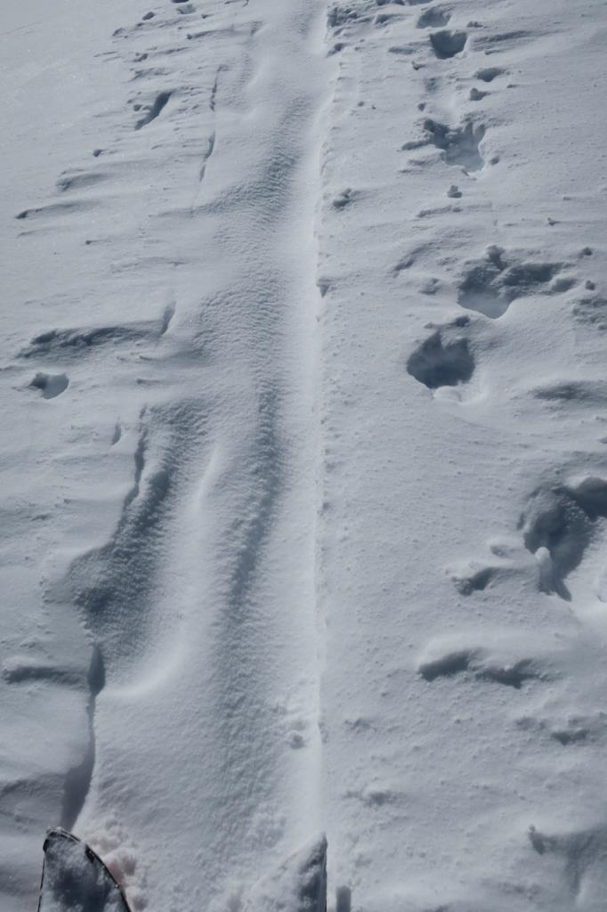  Winds were transporting snow and largely covering up the <a href="/avalanche-terms/skin-track" title="Backcountry skiers and some snowboarders ascend slopes using climbing skins attached to the bottom of their skis." class="lexicon-term">skin track</a> between laps. 