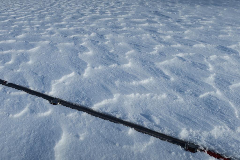  <a href="/avalanche-terms/sastrugi" title="Wind eroded snow, which often looks rough like frozen waves. Usually found on windward slopes." class="lexicon-term">Sastrugi</a> on a low elevation ridge in early afternoon. 