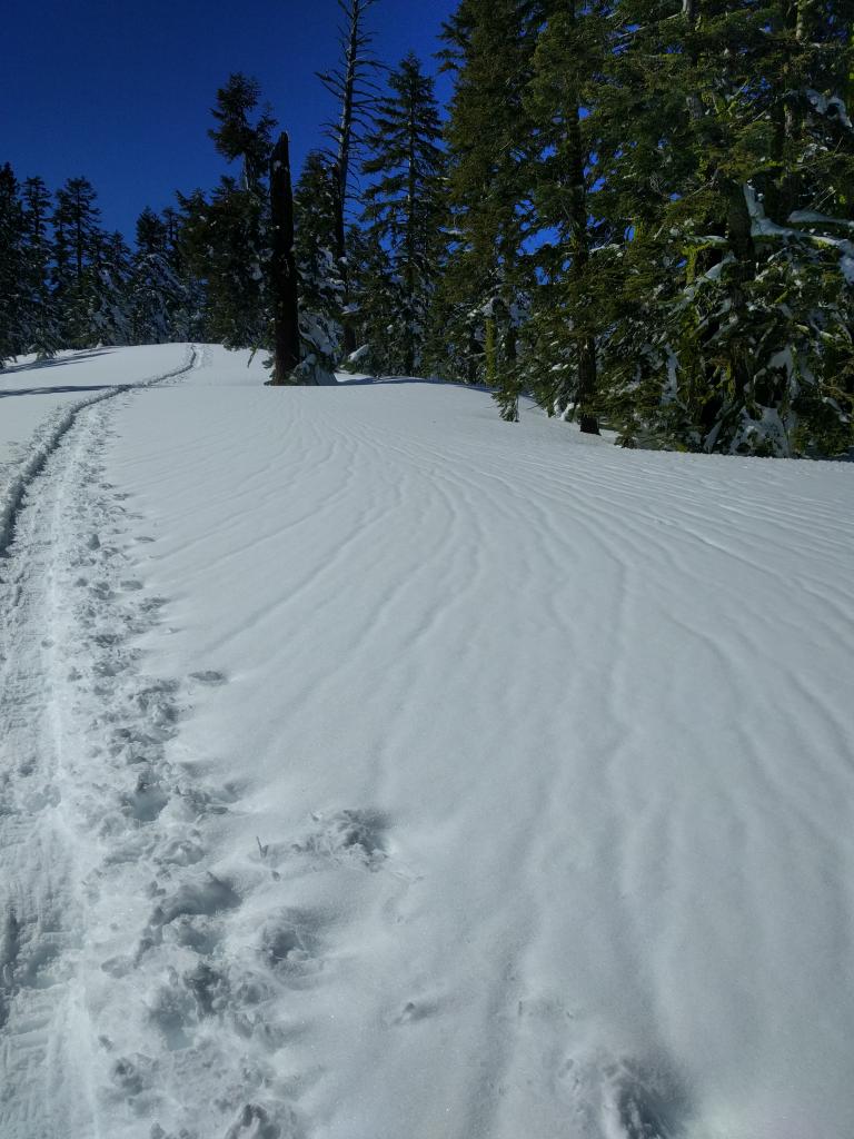  Runnels indicating warming in the snowpack on a S <a href="/avalanche-terms/aspect" title="The compass direction a slope faces (i.e. North, South, East, or West.)" class="lexicon-term">aspect</a>. 