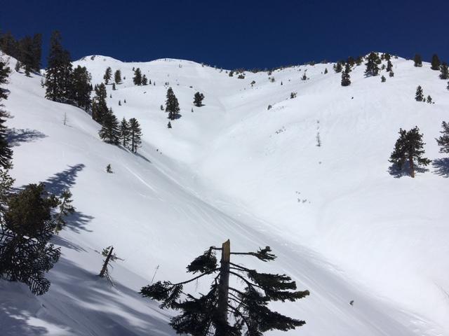  Looking up at Rose Knob.  Previous wet loose <a href="/avalanche-terms/avalanche" title="A mass of snow sliding, tumbling, or flowing down an inclined surface." class="lexicon-term">avalanches</a> in gullies. 