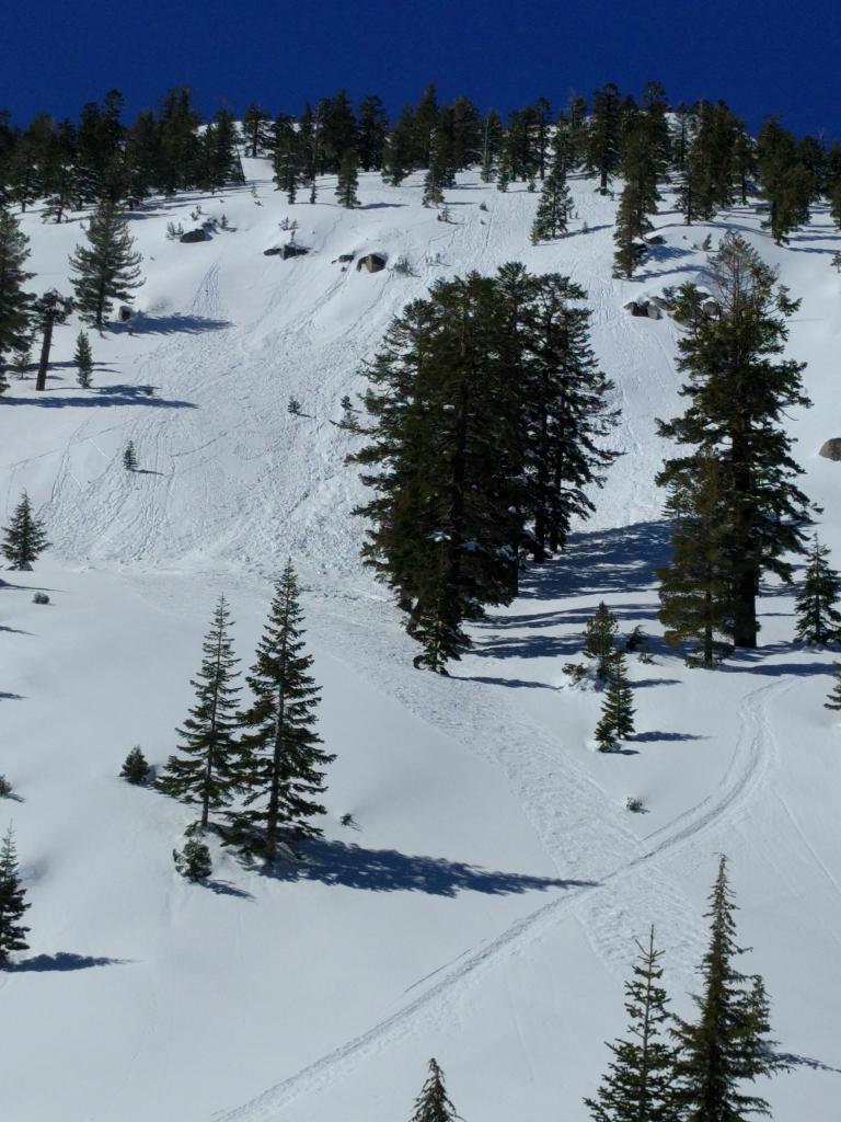  The <a href="/avalanche-terms/avalanche" title="A mass of snow sliding, tumbling, or flowing down an inclined surface." class="lexicon-term">slides</a> in the looker&#039;s left half of the photo occurred at 11:00 am today. The <a href="/avalanche-terms/avalanche" title="A mass of snow sliding, tumbling, or flowing down an inclined surface." class="lexicon-term">slides</a> in the looker&#039;s right half were older, likely from yesterday. 