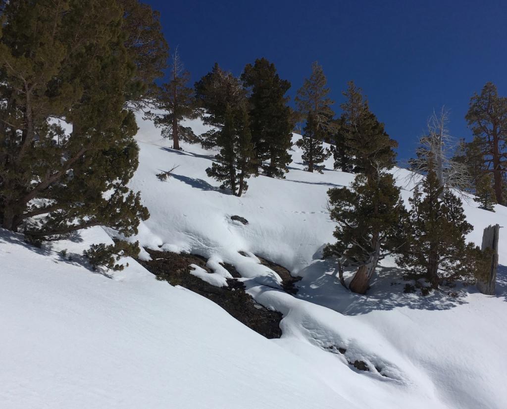  Running water at 7800 feet on a south <a href="/avalanche-terms/aspect" title="The compass direction a slope faces (i.e. North, South, East, or West.)" class="lexicon-term">aspect</a> near Flagpole Peak around 11:30am. 