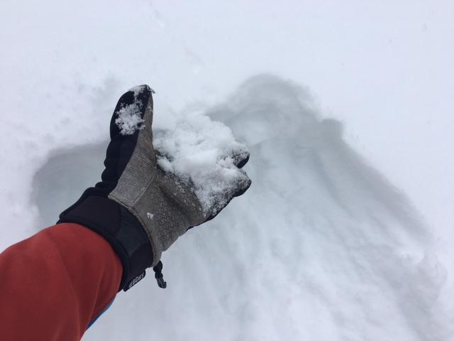  N <a href="/avalanche-terms/aspect" title="The compass direction a slope faces (i.e. North, South, East, or West.)" class="lexicon-term">aspects</a> above 8000&#039;, 4&#039;&#039; of unconsolidated snow remained in protected open below treeline areas. 