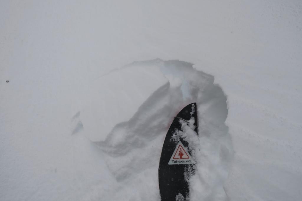  In the afternoon wind seemed to shift and begin to gust from the NW. This changed the wind transport in this area and created some <a href="/avalanche-terms/wind-slab" title="A cohesive layer of snow formed when wind deposits snow onto leeward terrain. Wind slabs are often smooth and rounded and sometimes sound hollow." class="lexicon-term">wind slab</a> in different locations. 