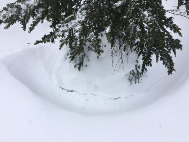  <a href="/avalanche-terms/settlement" title="The slow, deformation and densification of snow under the influence of gravity. Not to be confused with collasping" class="lexicon-term">Settlement</a> cracks around trees. 