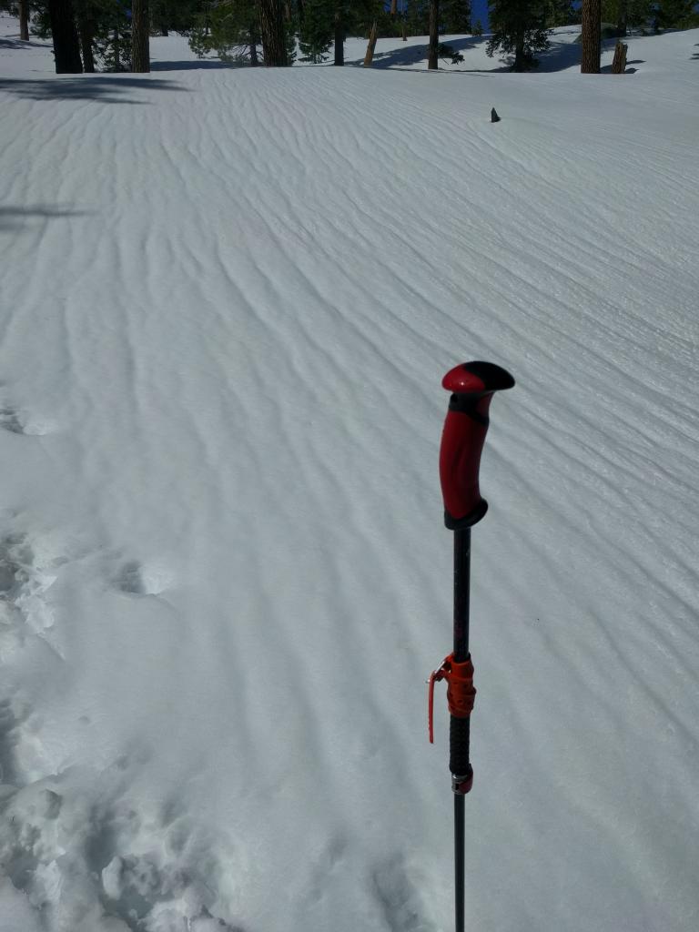  Runnels in the snow surface caused by warming and melting. 