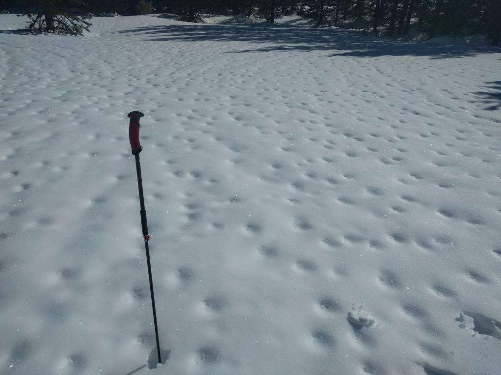  Divots and runnels created by the recent warming. 