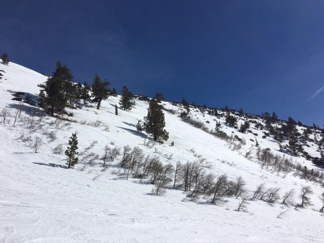  Rough snow texture from previous wind and <a href="/avalanche-terms/avalanche" title="A mass of snow sliding, tumbling, or flowing down an inclined surface." class="lexicon-term">avalanche</a> debris. 